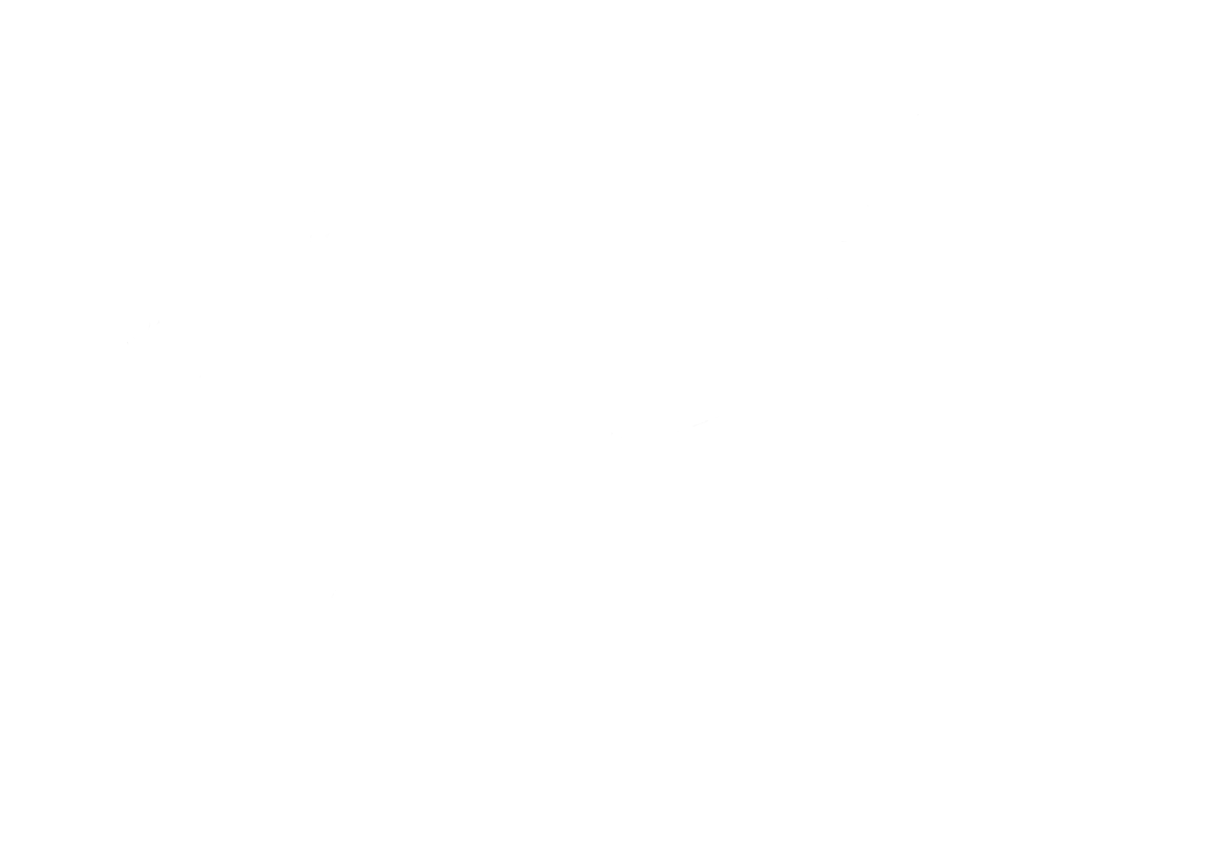 Signature of Benedikt Kerbl